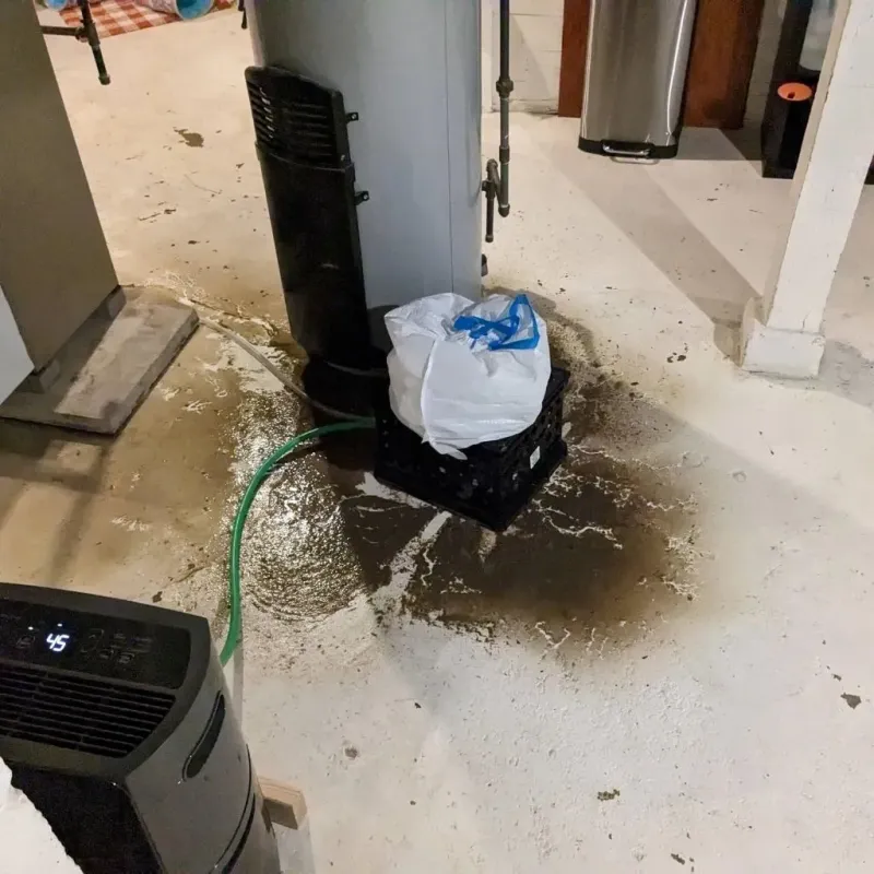 Sewage Backup Cleanup Service in Richfield, OH